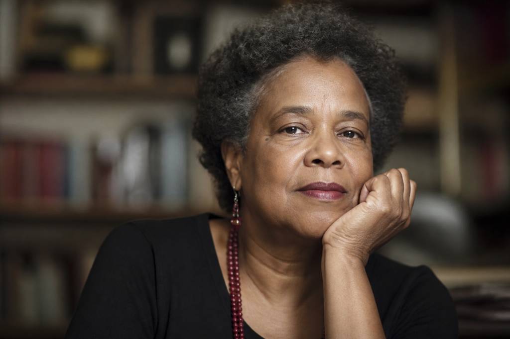 Ana Maria Gonçalves biografia: trajetória, obras e reconhecimento literário
